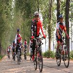 ��Ӱ����