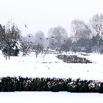 ��Ӱ����